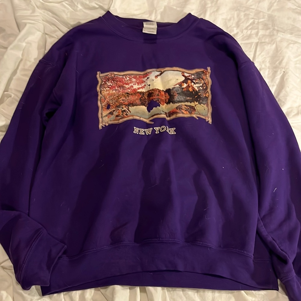 Purple thrifted sweater. New York. Well Loved. A few holes in the picture.